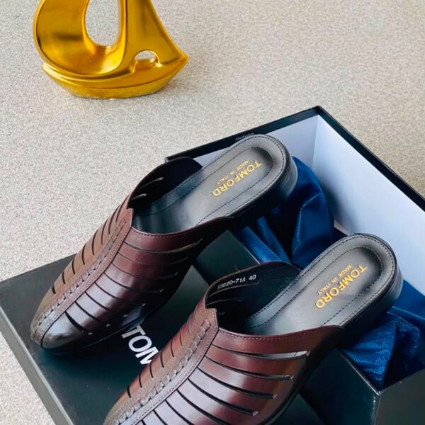 A pair of luxurious brown leather shoes in a box with a golden decorative item